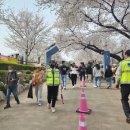 ●4월6~7일(토~일)도당산벚꽃 축제 이미지