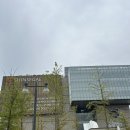 대선사우나 | 대전 오노마호텔 디럭스트윈 1박 후기(+매리어트 플래티넘/오노마라운지/아기랑/대전맛집 사리원본점) 👼✅