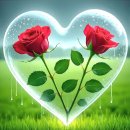 I Will Follow You - Rick Nelson 이미지