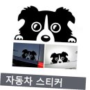 프리티 도그 이미지