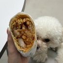 마루부리또 이미지