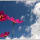 그대그리고나 이미지