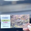 범어사매표소 계단 아래 | 사찰보다 화려한 가을 풍경 뽐내는 중인 부산 범어사