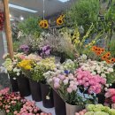 24년 상반기 우리춤 레퍼토리 | [웨딩]#웨딩촬영#스냅촬영#웨딩스냅#웨딩스냅후기#웨딩스냅추천 썬그라피 웨딩스냅 후기