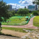 파크골프장 이미지