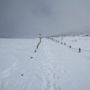 돈내코로 이미지