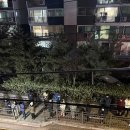 중앙태권스쿨 이미지