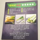 [맛집리뷰]대전 중구 대흥동 대전대파집 후기 - 내돈내산 냉삼맛집!