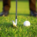 VG스크린골프 이미지