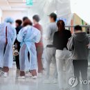 참나라 이미지
