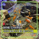 물고기카페 - 나주시 상야4길 10 | 카페 드 아쿠아ㅣ안성 스타필드 카페, 아이와 함께 방문하기좋은 물고기 카페 내돈내산 솔직후기