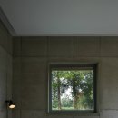 선 스테이 이미지