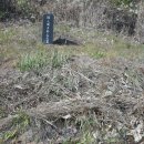 유림삼거리 이미지