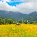 구례군청소년수련원 이미지