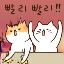로그스튜디오 이미지