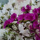 (주)트래콘건설 이미지