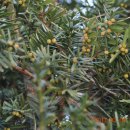 비음산 굴반쉼터 이미지