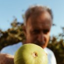 힐링푸드 이미지