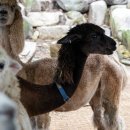 가산농장 이미지