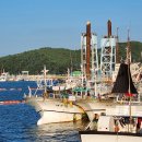 위드수산 이미지