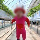 딸기어린이집 이미지