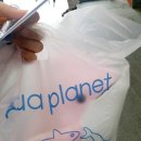핑크벨루가 네이버블로그