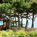 산장펜션 캠핑장 이미지