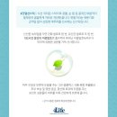 데이스타(daystar) 네이버블로그