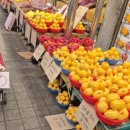 태영상회 이미지