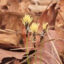 버스정류장 07-189 이미지