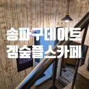 겜숲플스카페 이미지