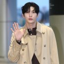 레오 이미지