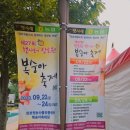 장호원복숭아축제장화장실 이미지