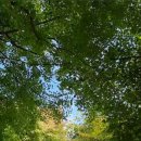 정자공원 이미지