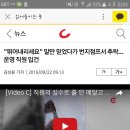 "뛰어내리세요" 말만 믿었다가 번지점프서 추락… 운영 직원 입건(+추가) 이미지