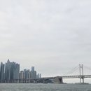 로바타탄요 | [부산광역시] 동래역 근처 감성 요리주점 '로바타 탄요' 방문후기