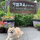 박준호농장 | 🌸 가평 아침고요수목원: 사계절의 아름다움이 깃든 자연의 정원 🍃