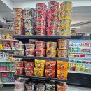 마운틴하이 | 시드니 3일차 (12/1 블루마운틴 선셋투어 옷차림, 지그재그 투어 솔직후기)