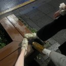 음악이있는공간 | [제주시펍] AMU — 위스키와 스몰디쉬, 음악이 있는 추천 공간