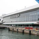 이곡지 | 2010.03.27 - 31 - 전남 신안 도초도 - 전남 사초호
