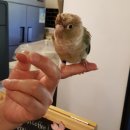 마이산주유소 | 전주근교카페, 진안 꽃잔디동산 [효산재]에서 힐링하고왔어요💕(진안카페)