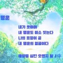 행운서점 이미지