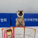 홍남농장 이미지