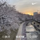 24년 4월 (울산벚꽃🌸/막걸리동산/서울벚꽃🌸/울산풀코스/경주벚꽃🌸)
