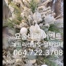제주파티앤벌륜 네이버블로그