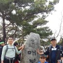 행정사 사무소 래인 이미지