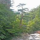청학산 티스토리