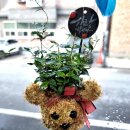 이든테라피 이미지