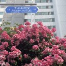 GS25 연남공원점 이미지