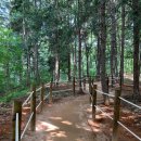 늘솔길공원입구 이미지